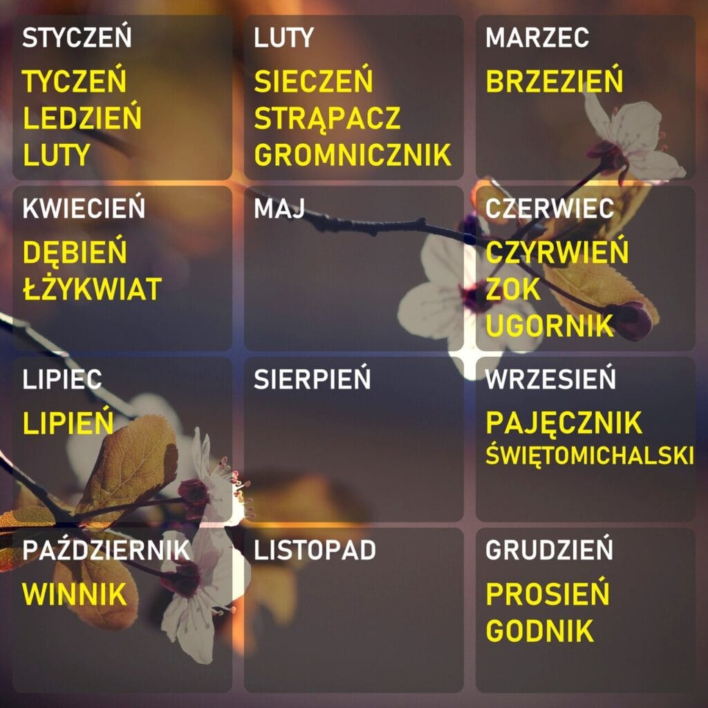 miesiace